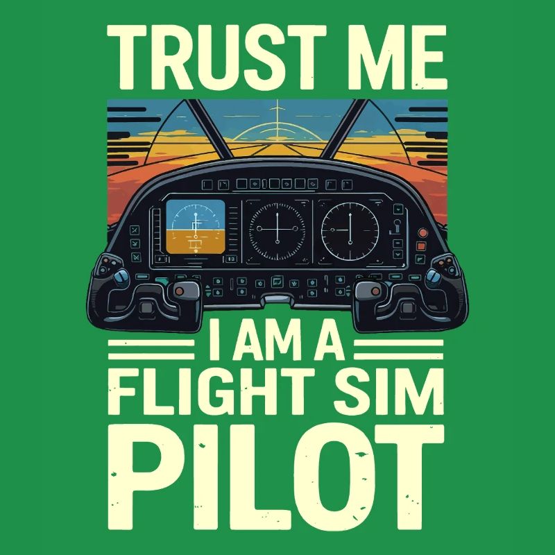 Vertrau mir ich bin ein Flugsimulatorpilot