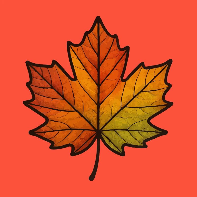 blatt herbst ahornblatt