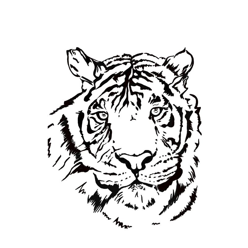 Hand-drawn tiger