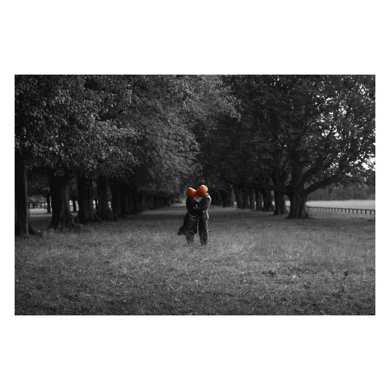 Silhouetted Pumpkin Couple Under Tree Canopy