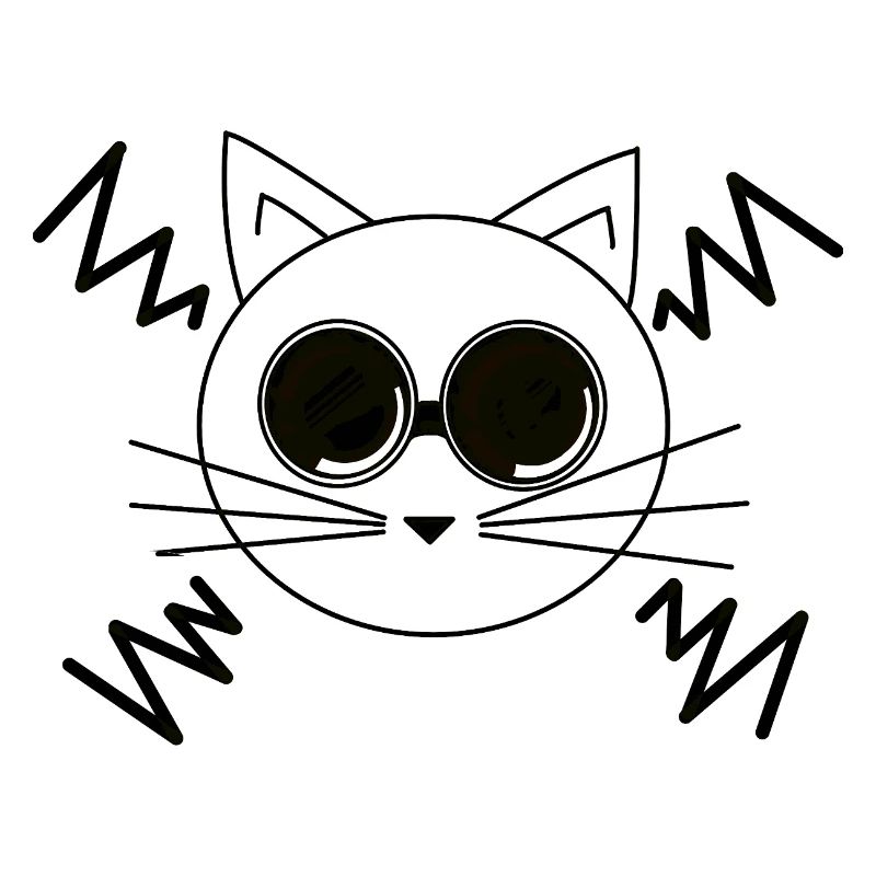 Chat de l’espace