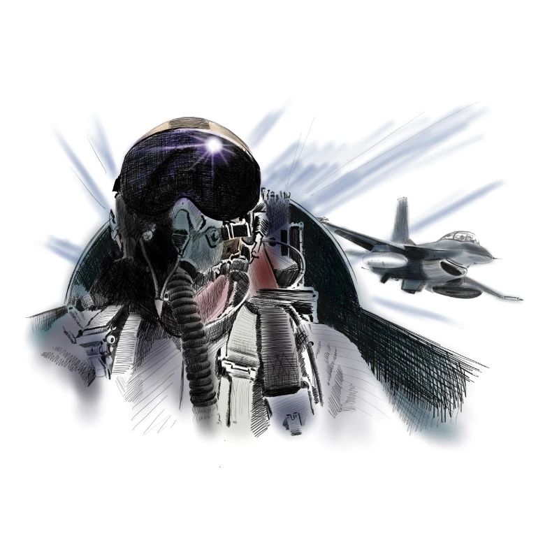 Fighter pilot