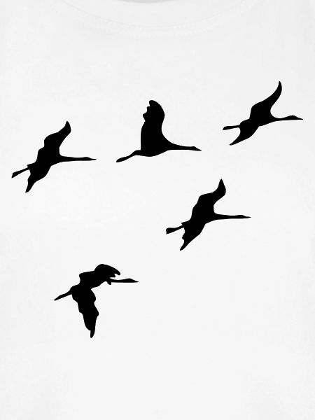 kraniche vogel reise