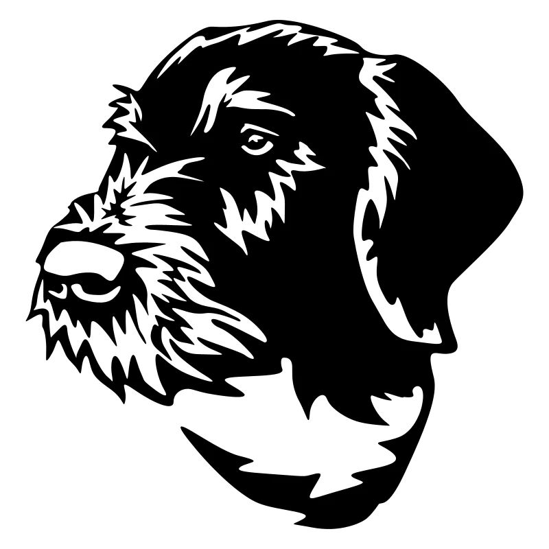 German Wirehaired Pointer