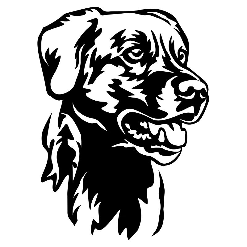 Labrador Kopf