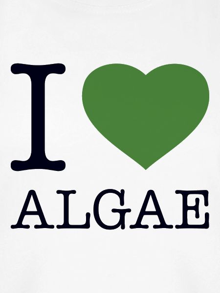 I LOVE ALGAE Algen