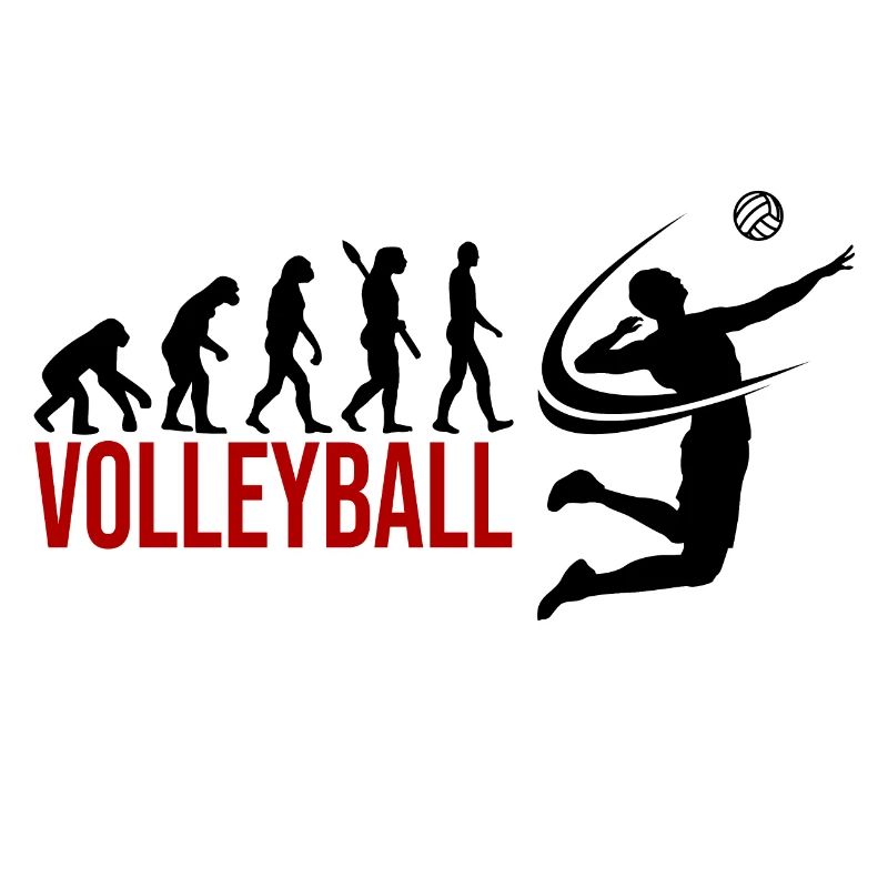Evolution Volleyball