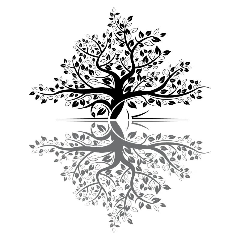 Tree Reflection Forest Nature Protection Outdoor Love