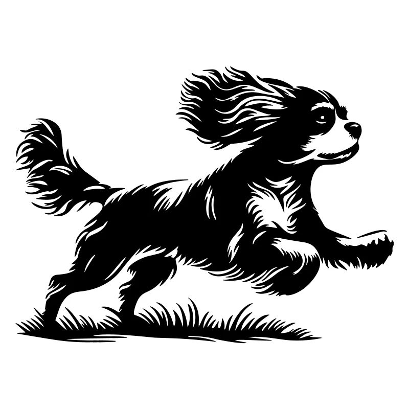 Cavalier King Charles Spaniel