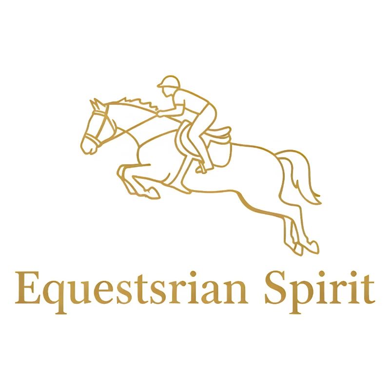 Elégant cavalier de saut d’obstacles en ligne dorée
