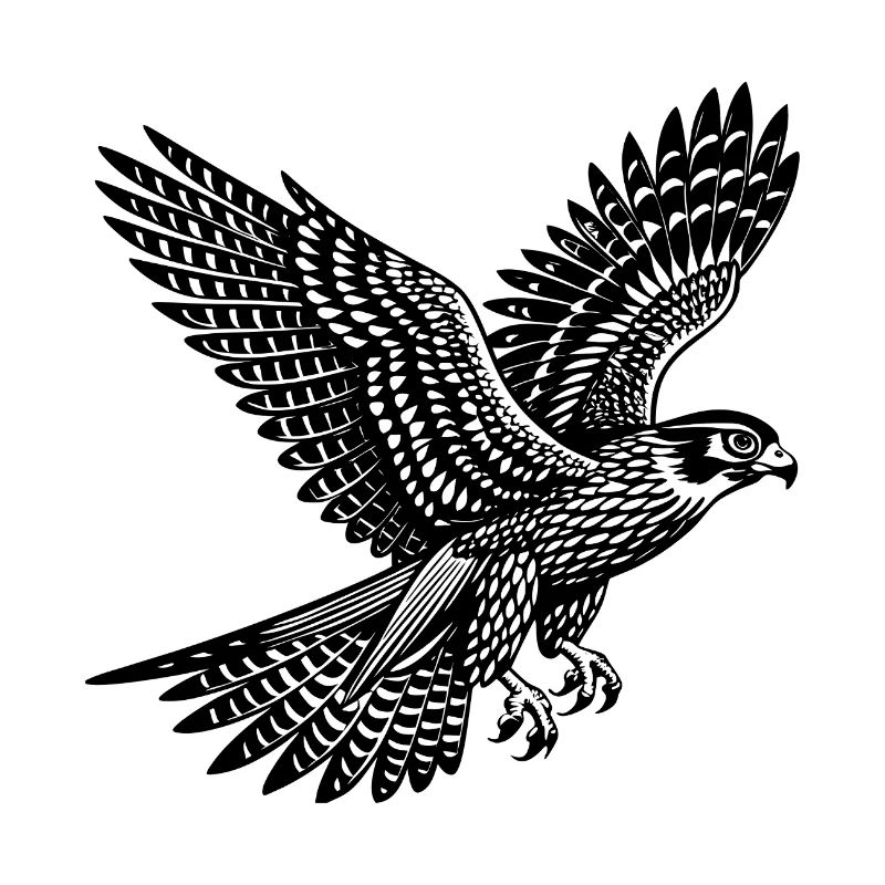 Falcon