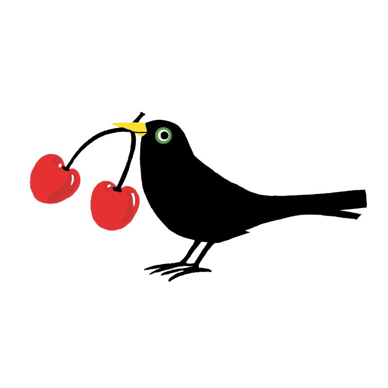Krähe mit Kirschen