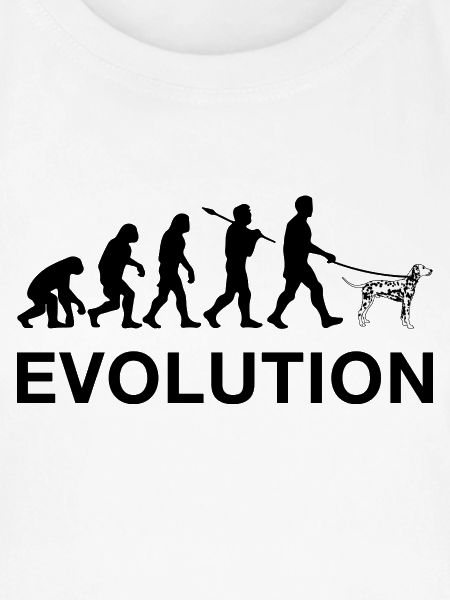 Evolution