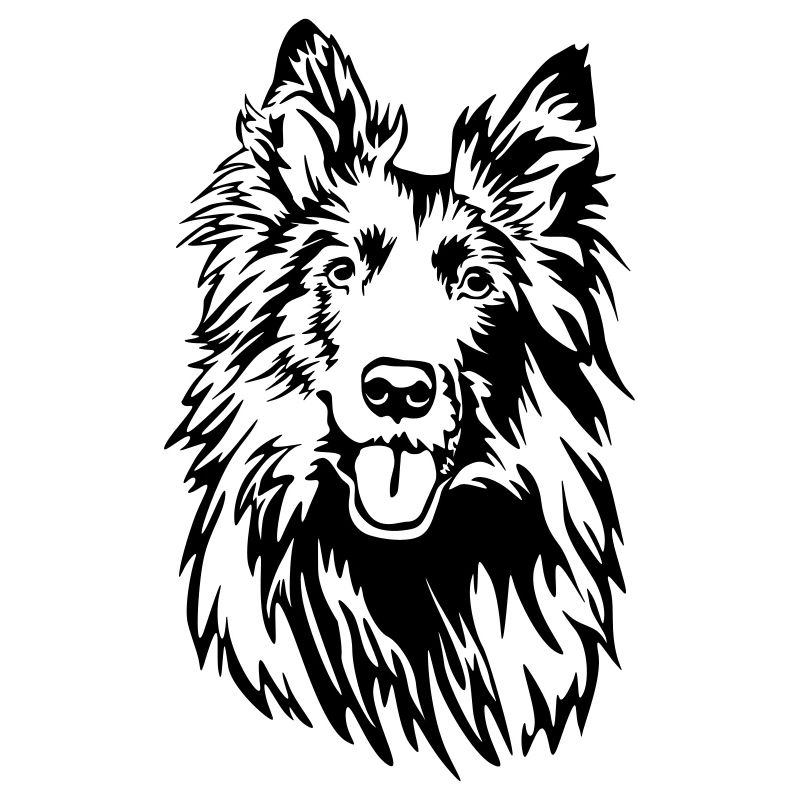 Groenendael head
