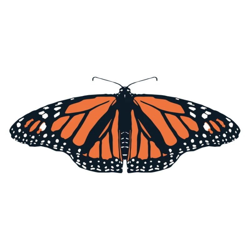 Papillons : Le papillon monarque