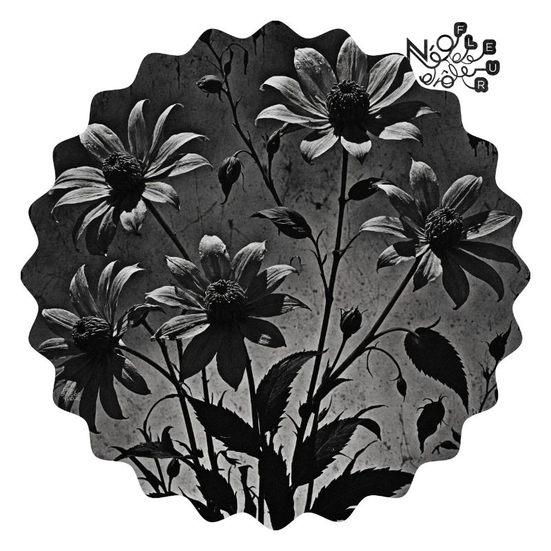 NDDF #20 Fleur de Nuit