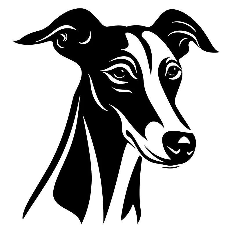 Tête de chien lévrier