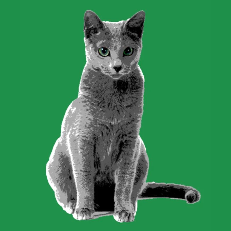 Chat bleu russe