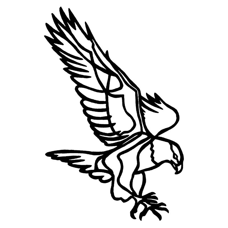 Black Eagle in Flight