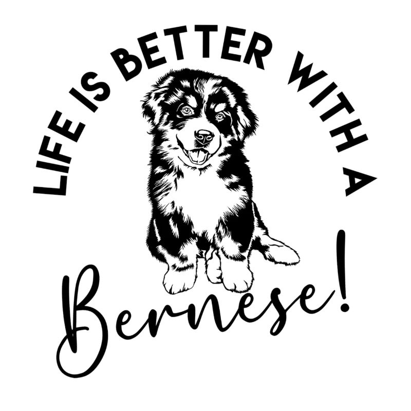 Bouvier bernois