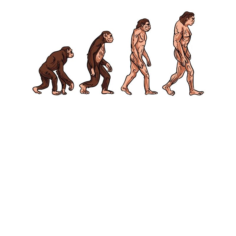 Human evolution