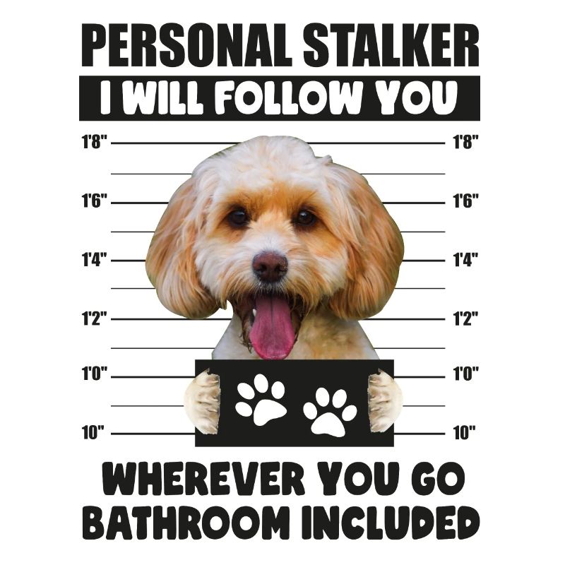Persönlicher Stalker Hund, Funny Cockapoo Lover Geschenk