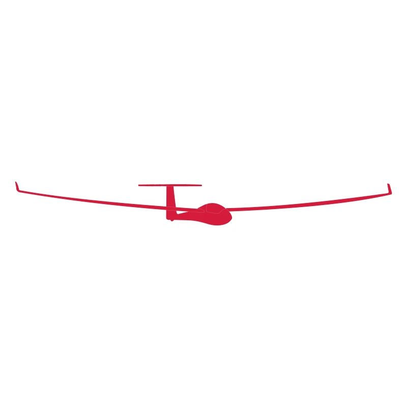 soaring pilot