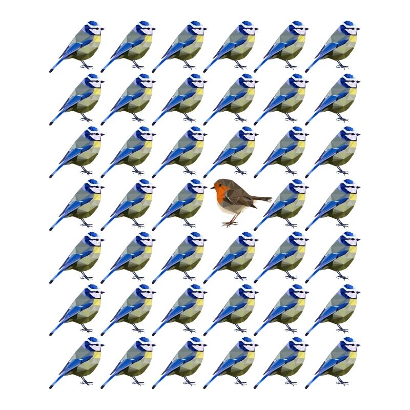 sei anders Blaumeise Rotkehlchen Vogel Muster