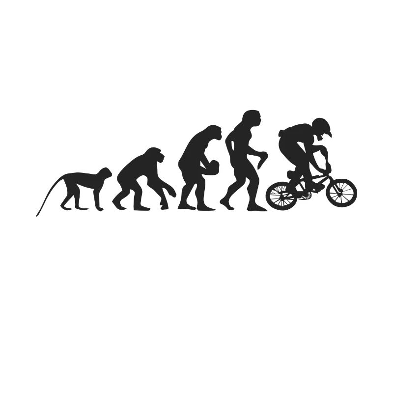 Evolution BMX