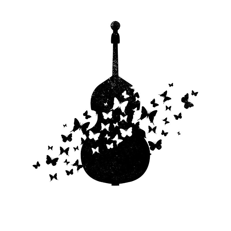 Instrument de contrebasse avec papillons double basse
