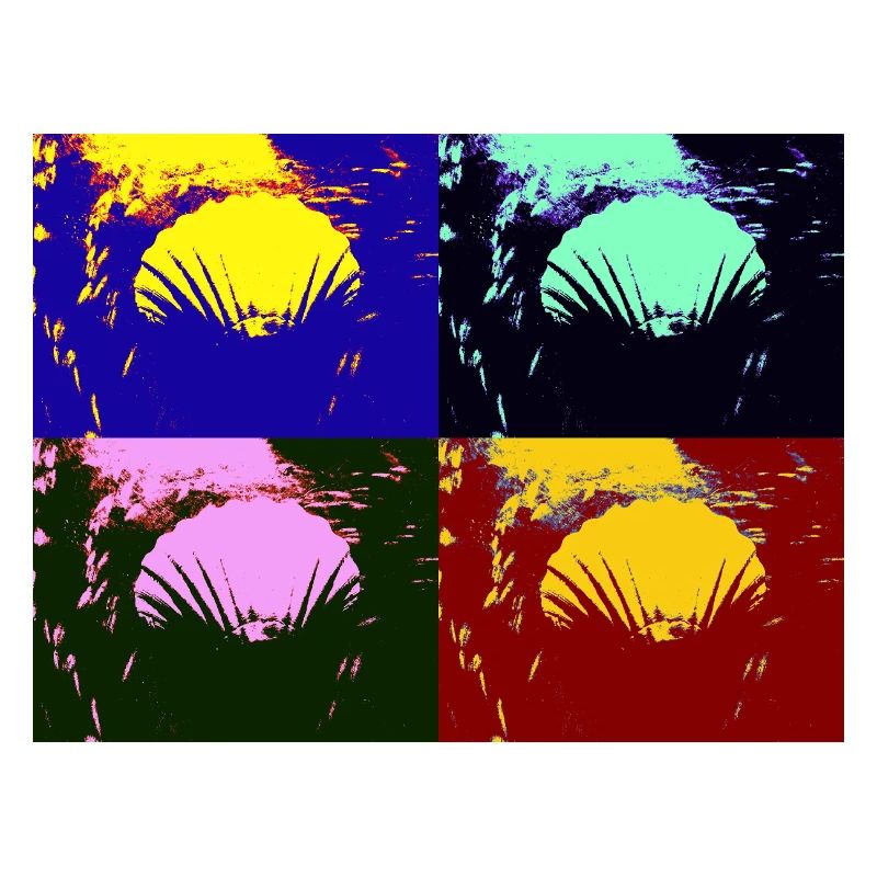 Shell
