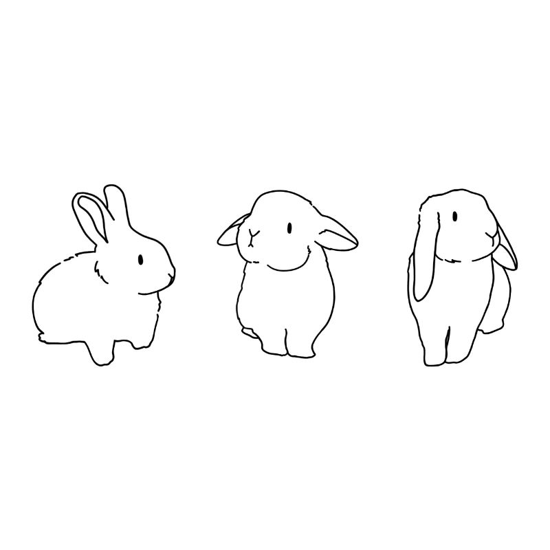 Lapins mignons année du lapin
