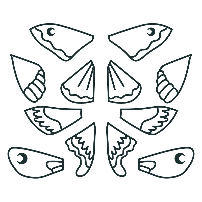 Sélection d’ailes de papillon de nuit