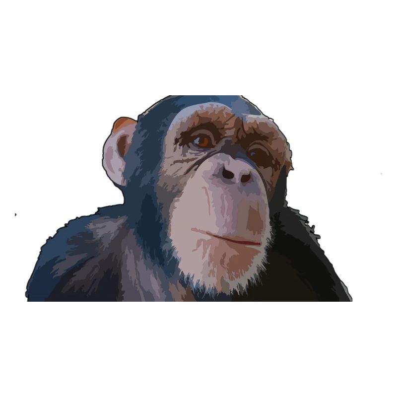 Süßer Affe