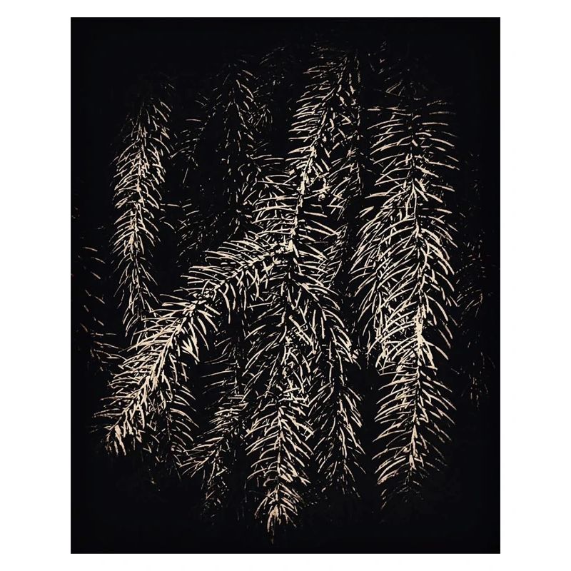 Pines Black