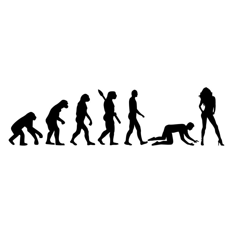 Evolution Ehe