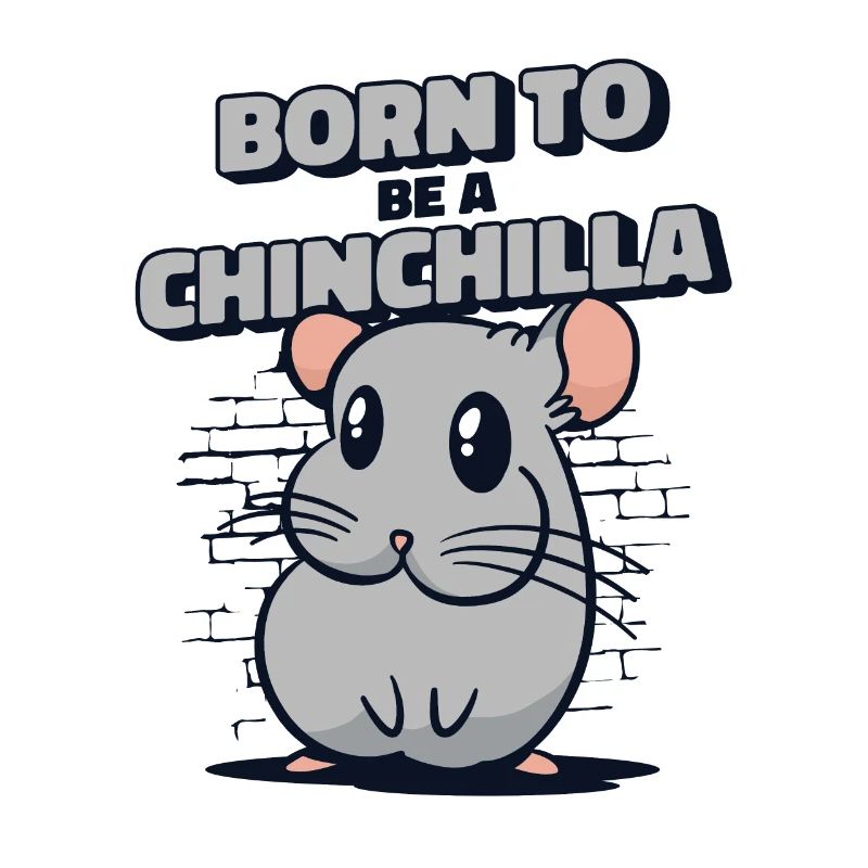 Né pour être un chinchilla à queue courte longue queue