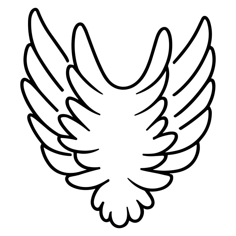 Ailes d'ange