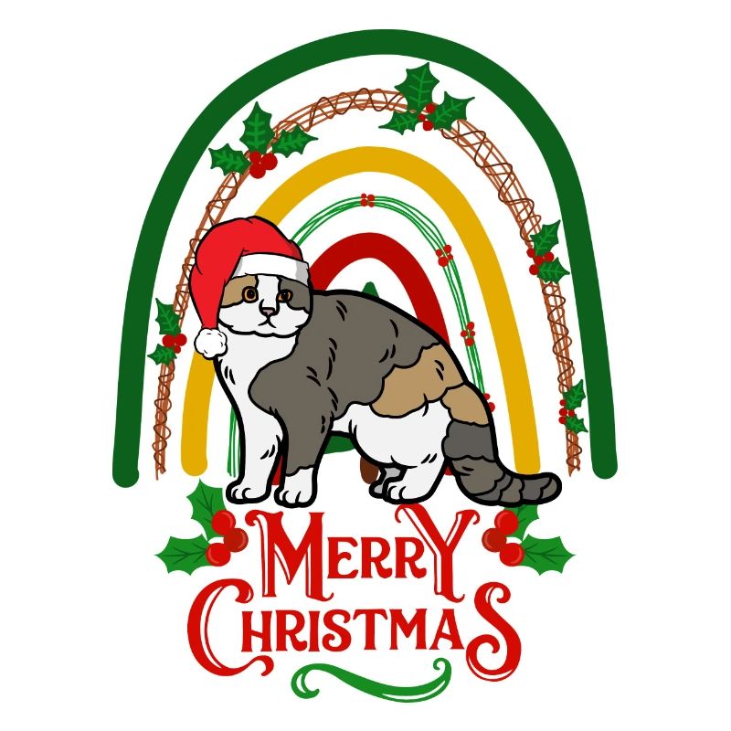 Chat écossais à oreille pliante Noël