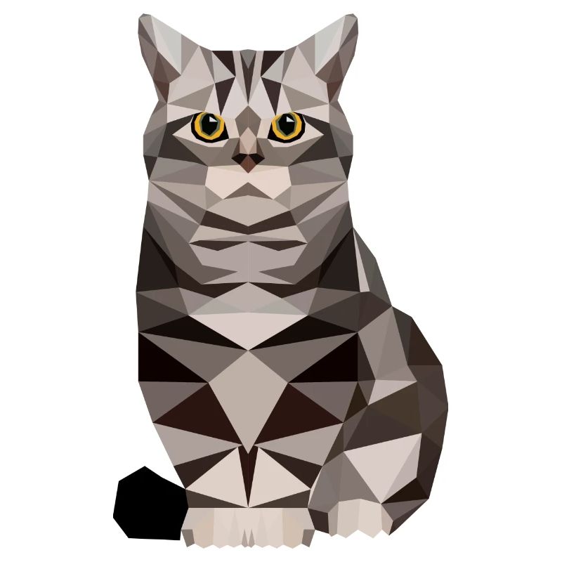 polygone maison chat chaton chat