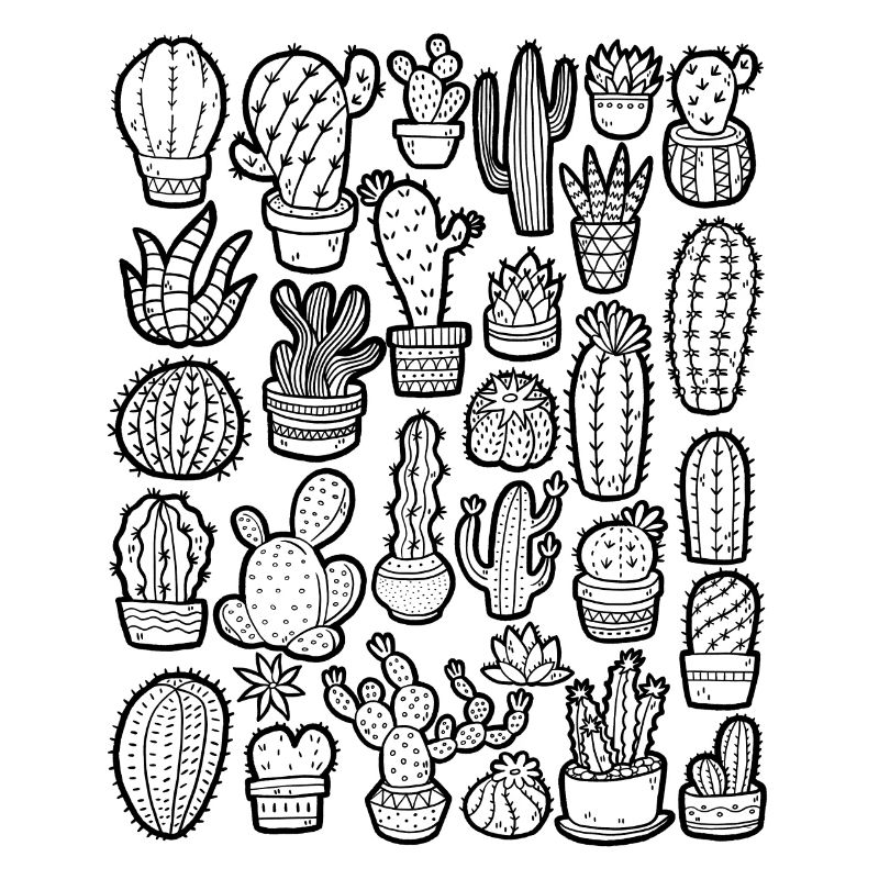 Cactus Doodle