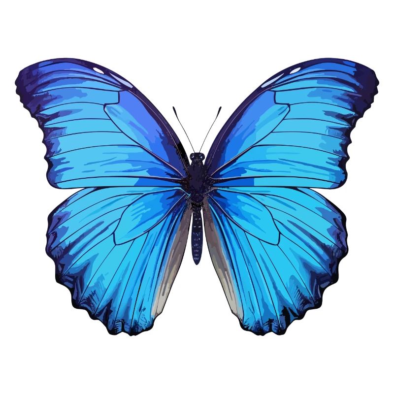 Morpho Papillon Bleu
