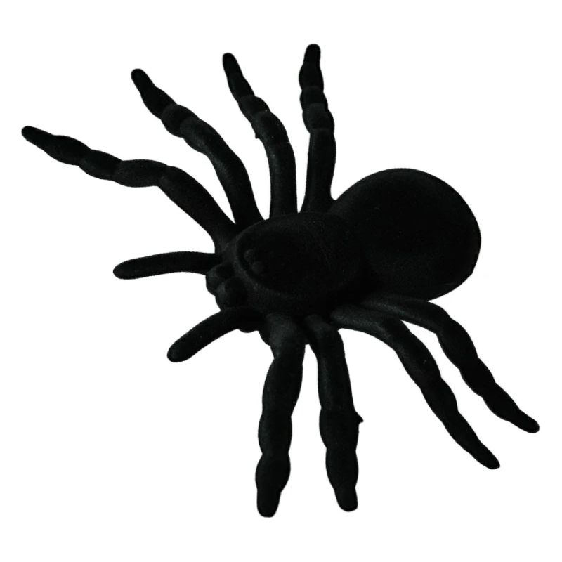 Spider Web, Spider Web, Spider Phobia, Disgusting Gift