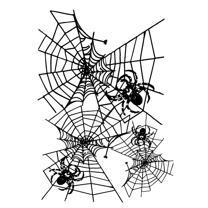 Spider, spider web, black web, Halloween