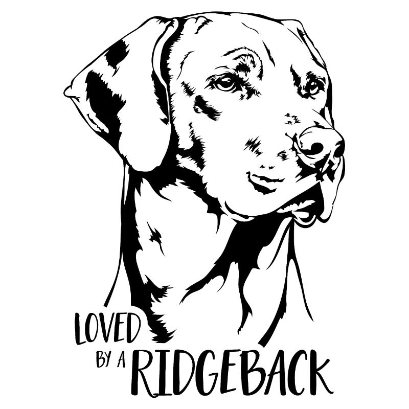 Aimé par un chien Ridgeback Rhodesian Ridgeback