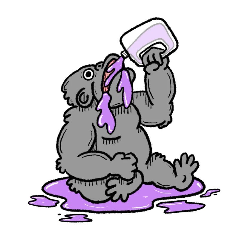 Gorilla Drinking Squash