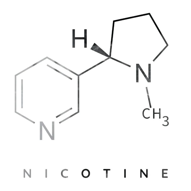 Molécule de nicotine