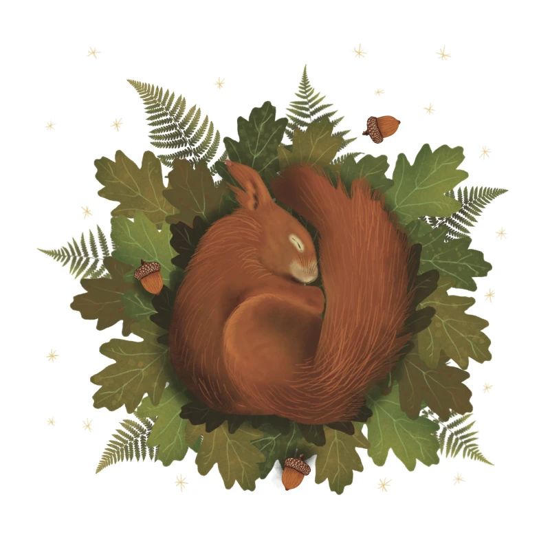 sleeping squirrel