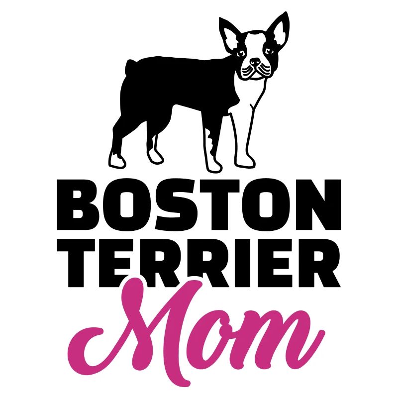 Boston Terrier