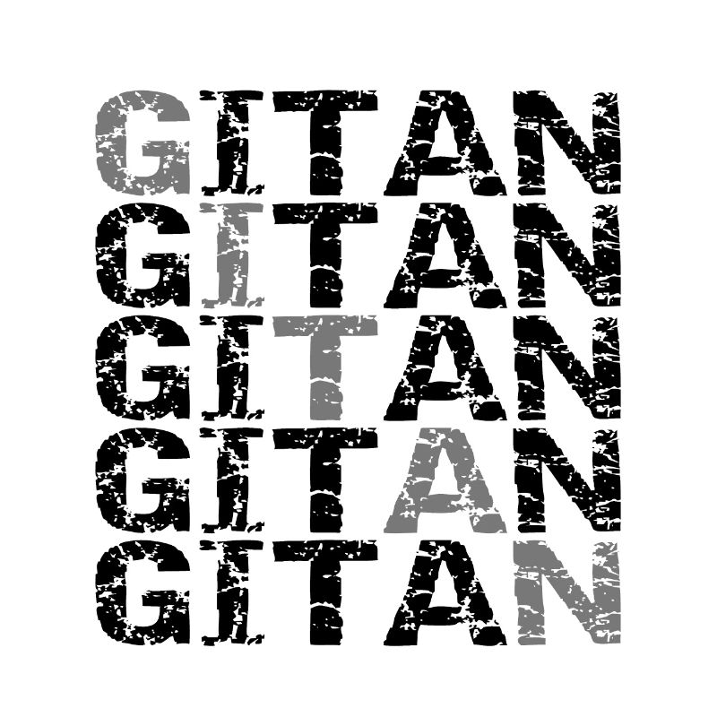 Gitan noir et gris